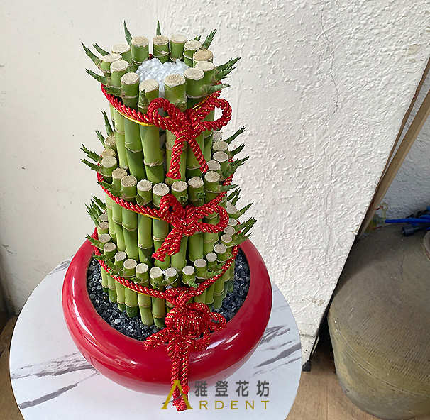 適合辦公室與精品店的小型招財植物